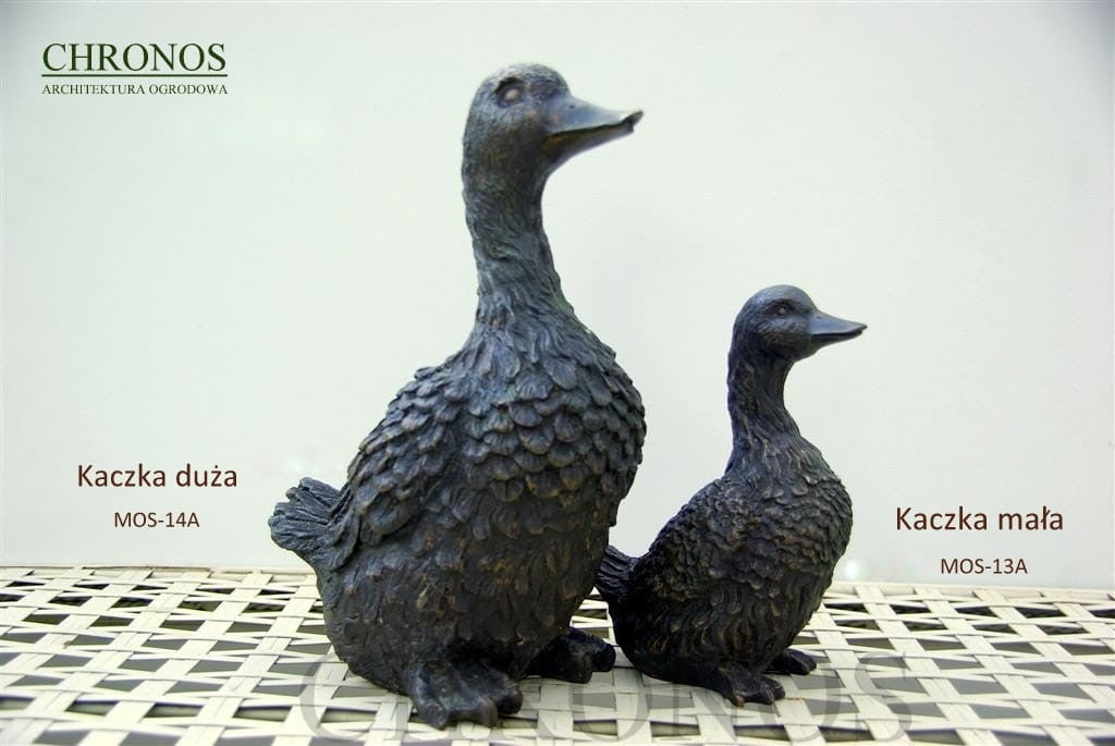 Duck
