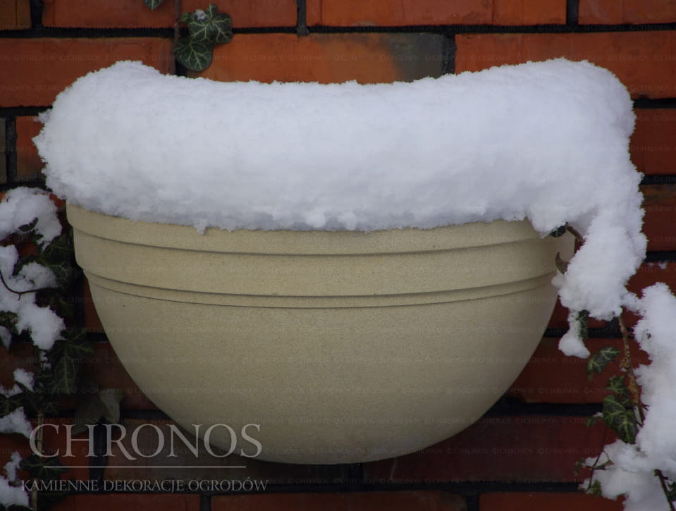 Smooth wall-mounted toilet bowl