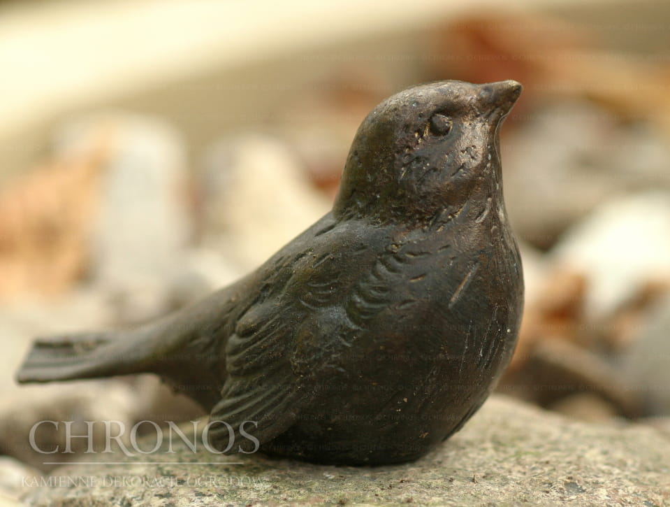 Birdie