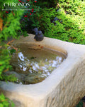 Bird Bath - Trough