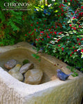 Bird Bath - Trough