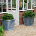 Planter Classic