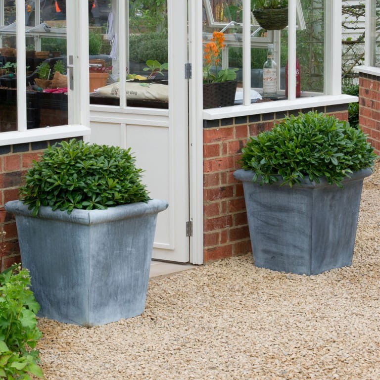 Planter Classic