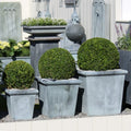 Planter Classic