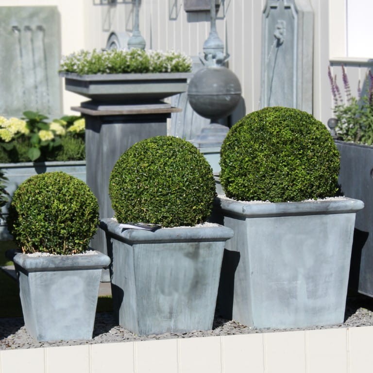 Planter Classic