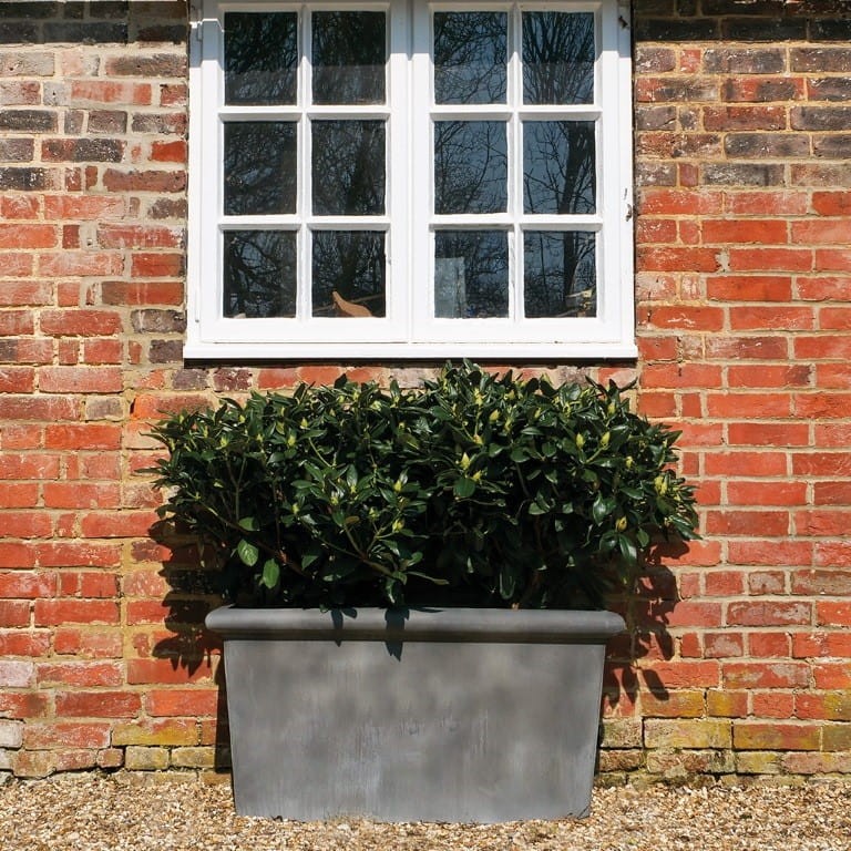 Planter Classic