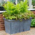 Planter Classic