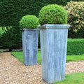 Planter Classic