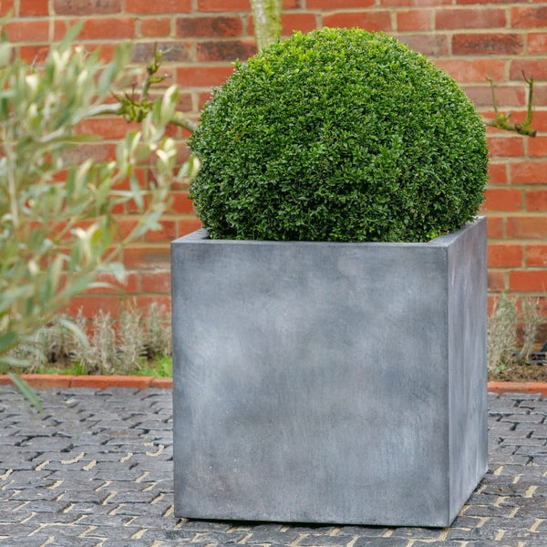 Qube Planter