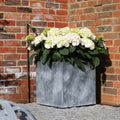 Qube Planter