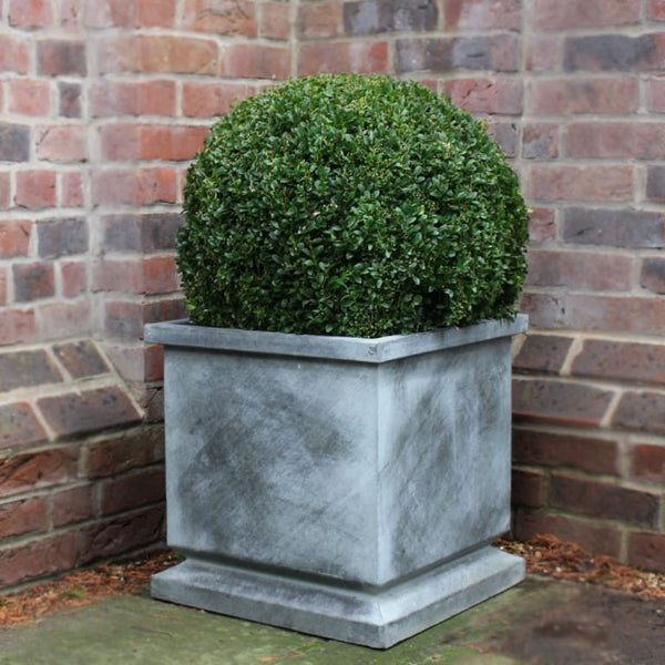 Verona Planter