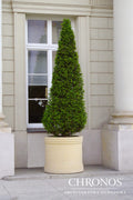 Donica Bona