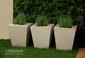 Gardenia Planter