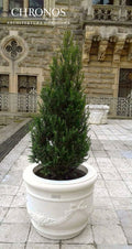 Girland Planter