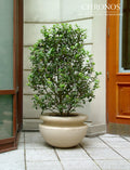 Terra Planter