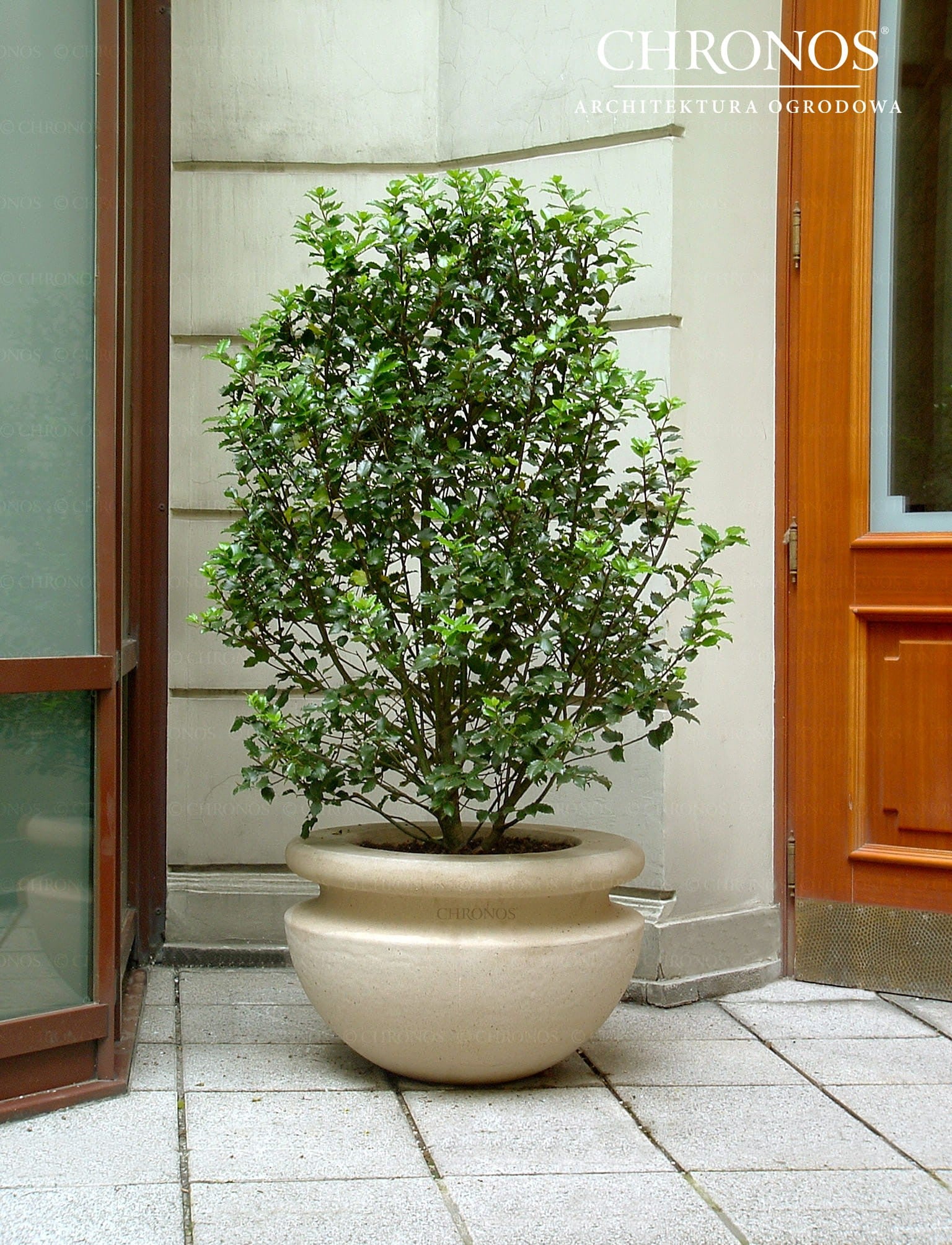 Terra Planter
