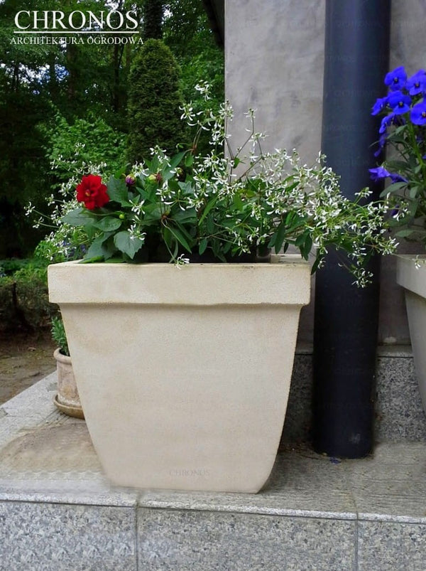 Donica Kwadratowa