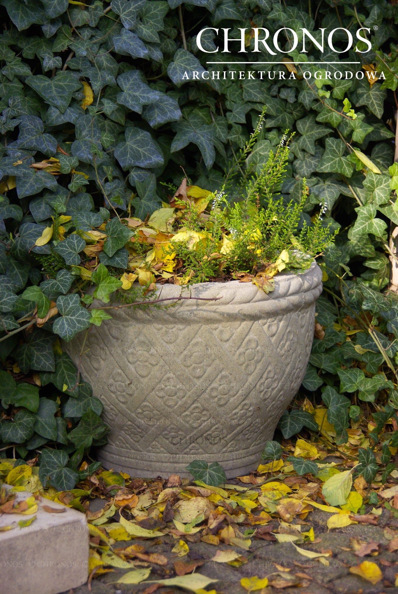 Flower Pot