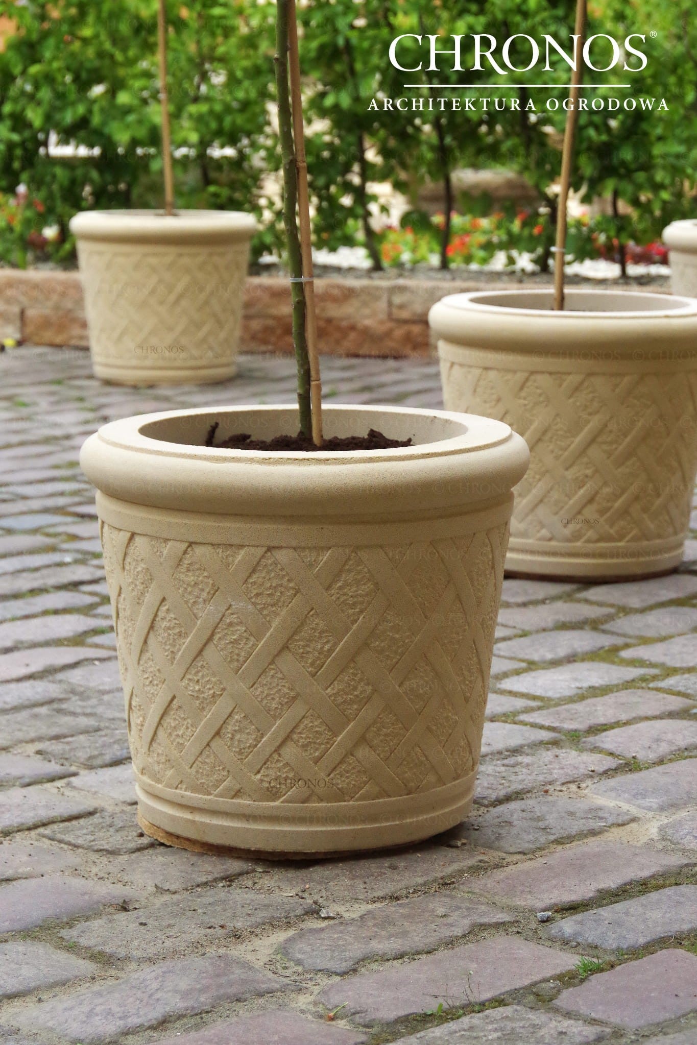 Trellis Planter