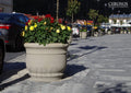 Provencal Planter
