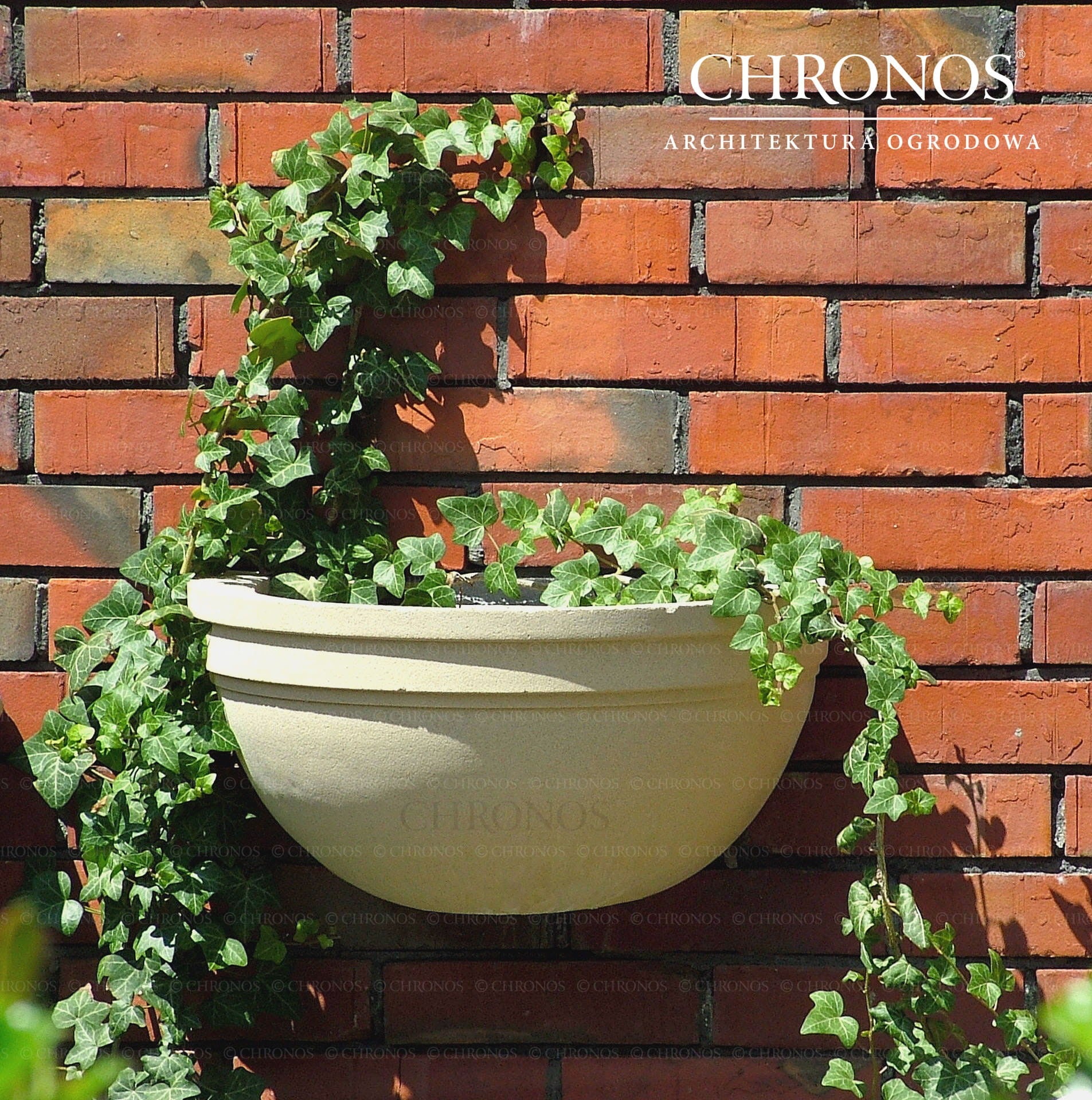 Smooth wall-mounted toilet bowl
