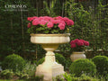 Versailles floral bowl