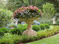 Versailles floral bowl