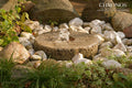Millstone Fountain