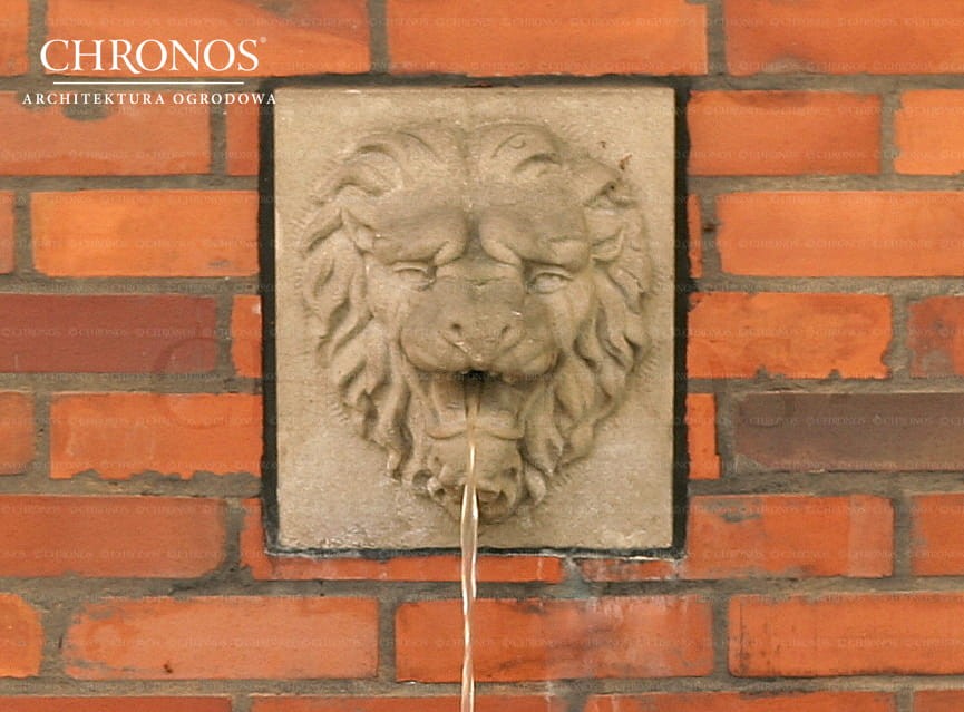 Fountain gargoyle - Lion's Mouth