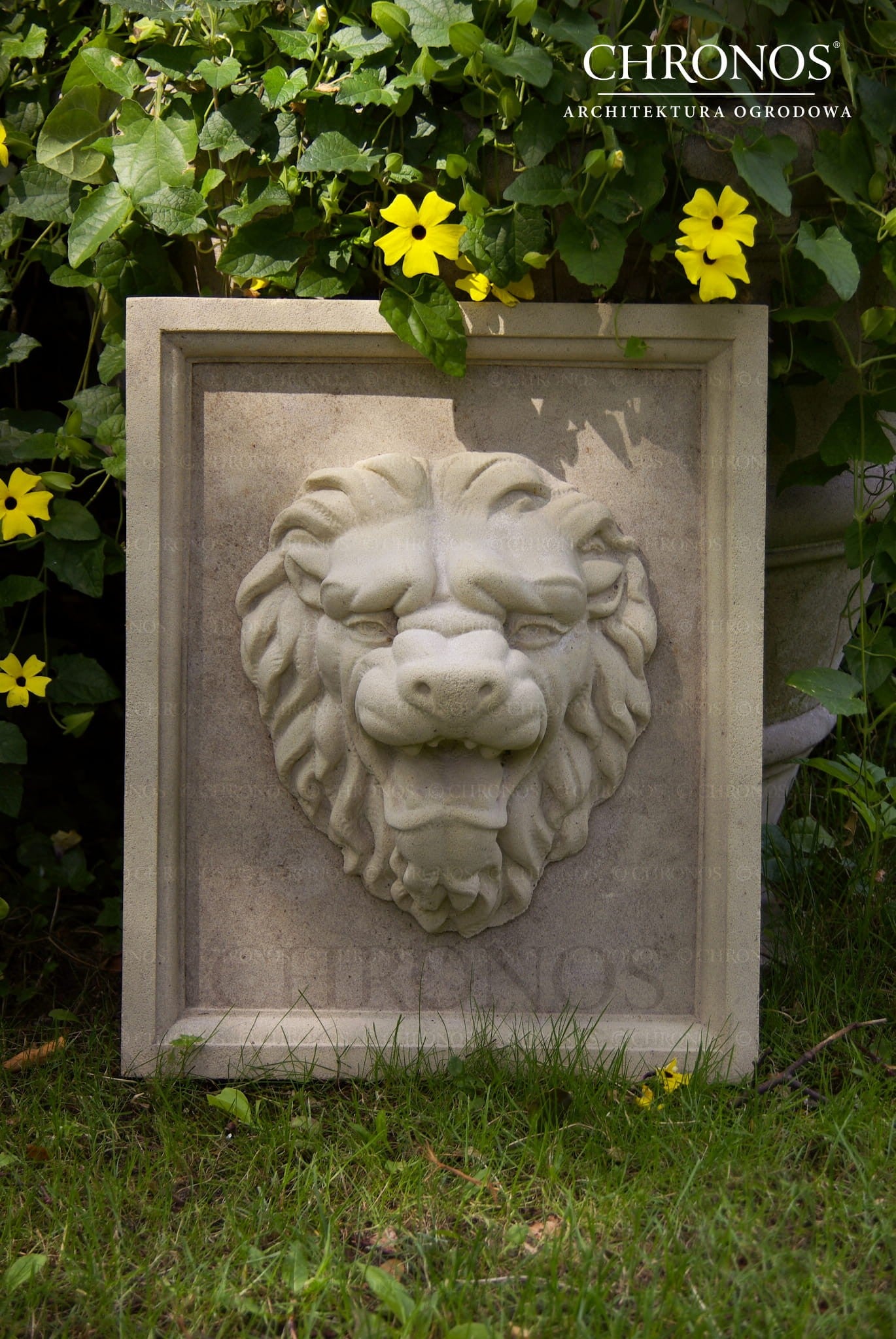 Fountain gargoyle - Lion's Mouth