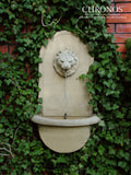 Fountain gargoyle - Lion's Mouth