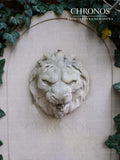 Fountain gargoyle - Lion's Mouth
