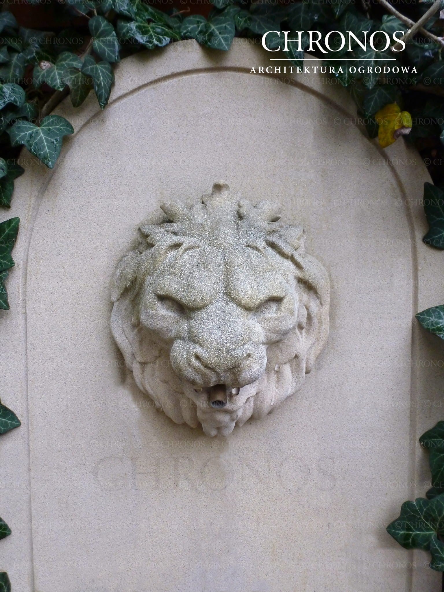 Fountain gargoyle - Lion's Mouth