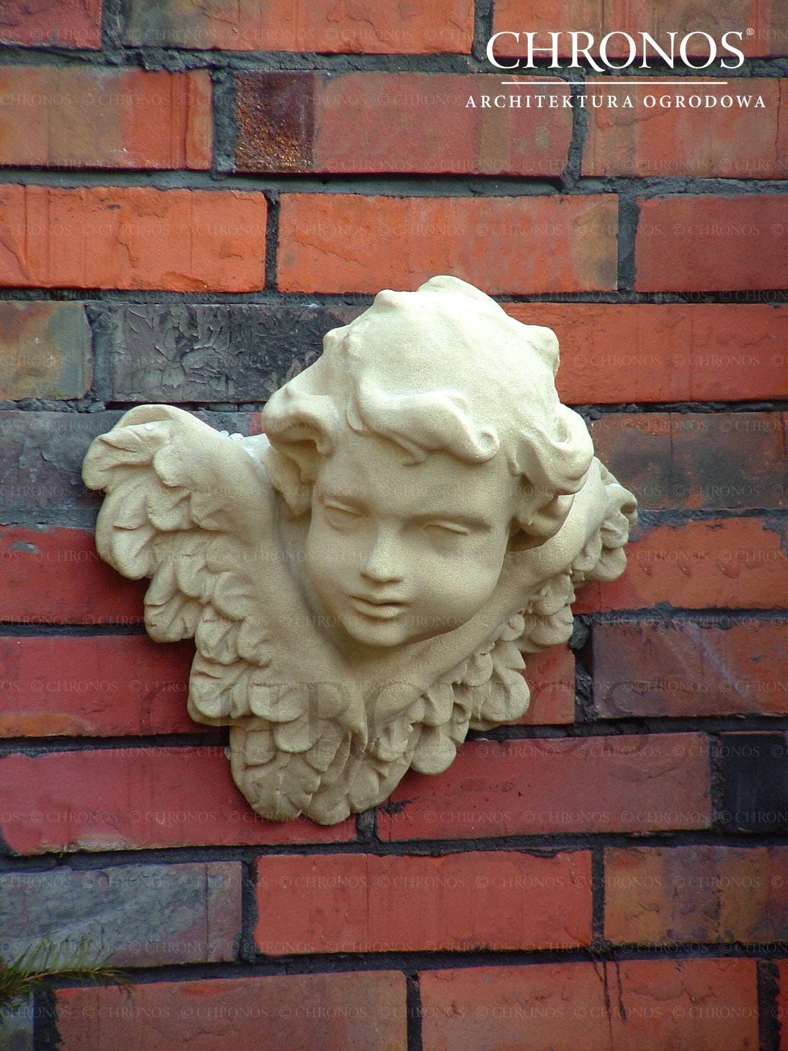 Cherub
