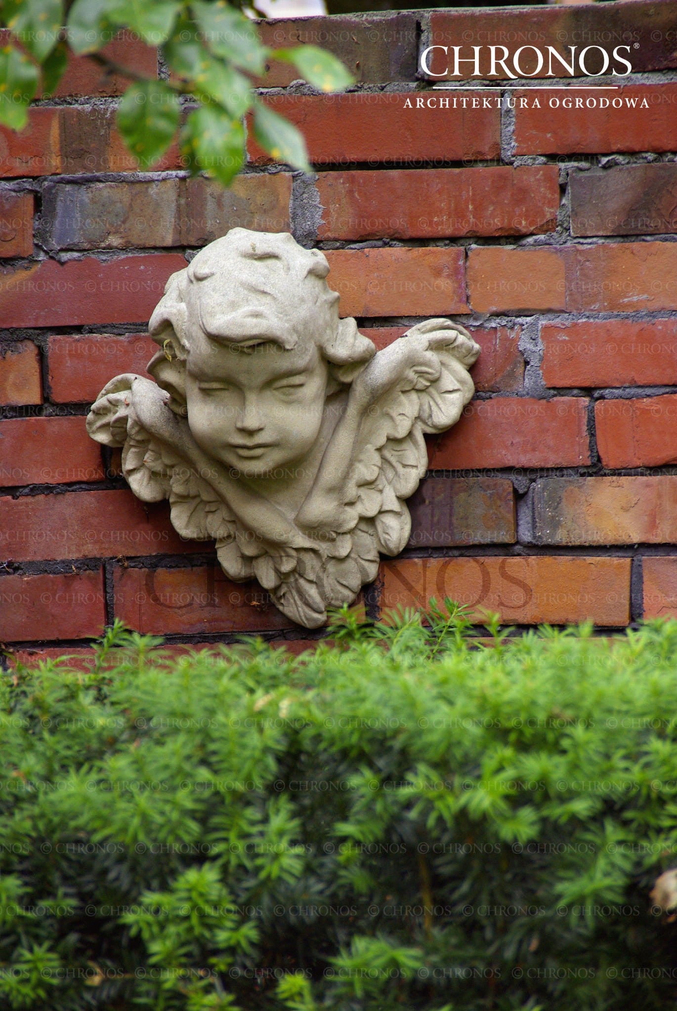 Cherub