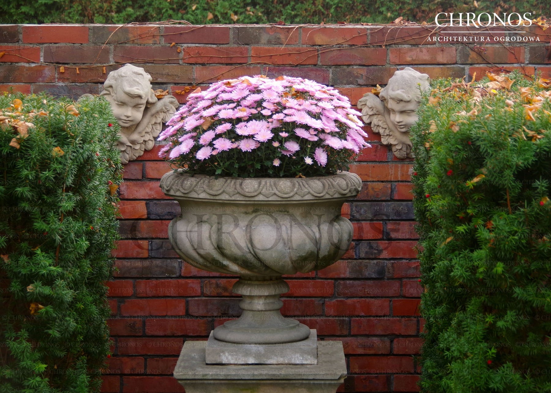 Cherub