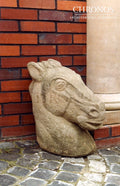Horse's head
