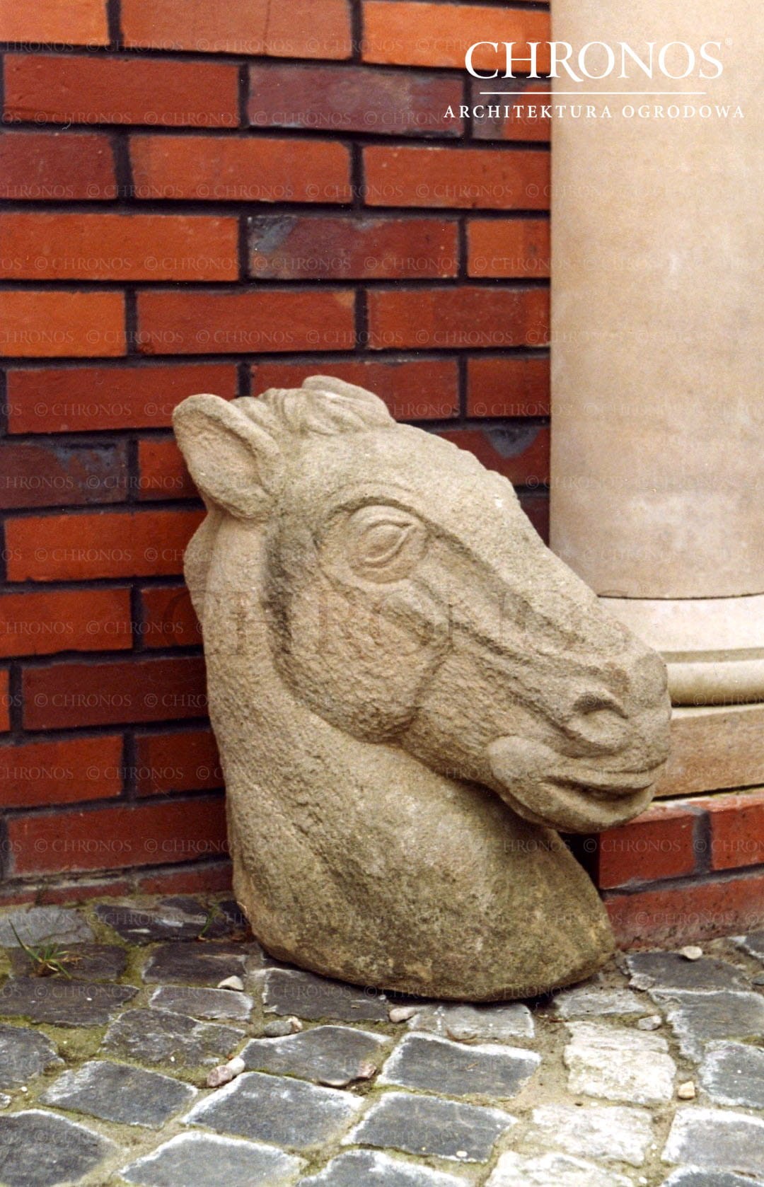 Horse's head