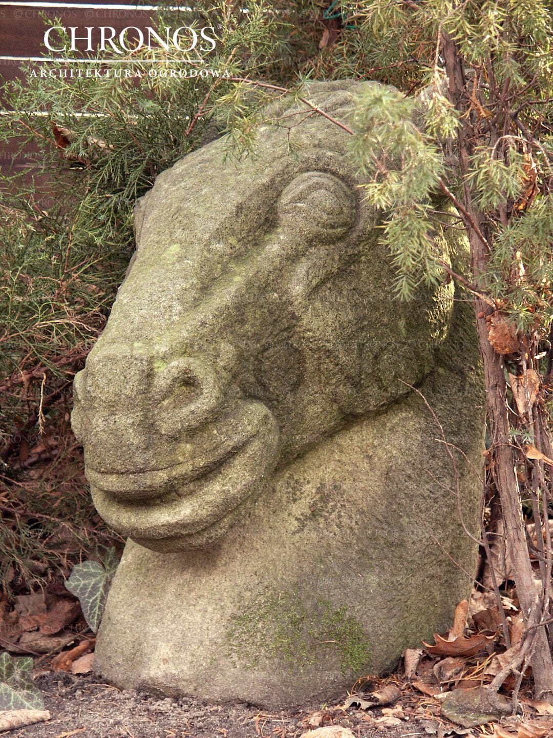 Horse's head