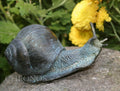 Snail