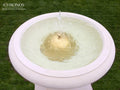 University Fountain