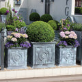 Belgian Circle planter