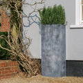 Qube Planter