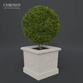 Planter with Rosette