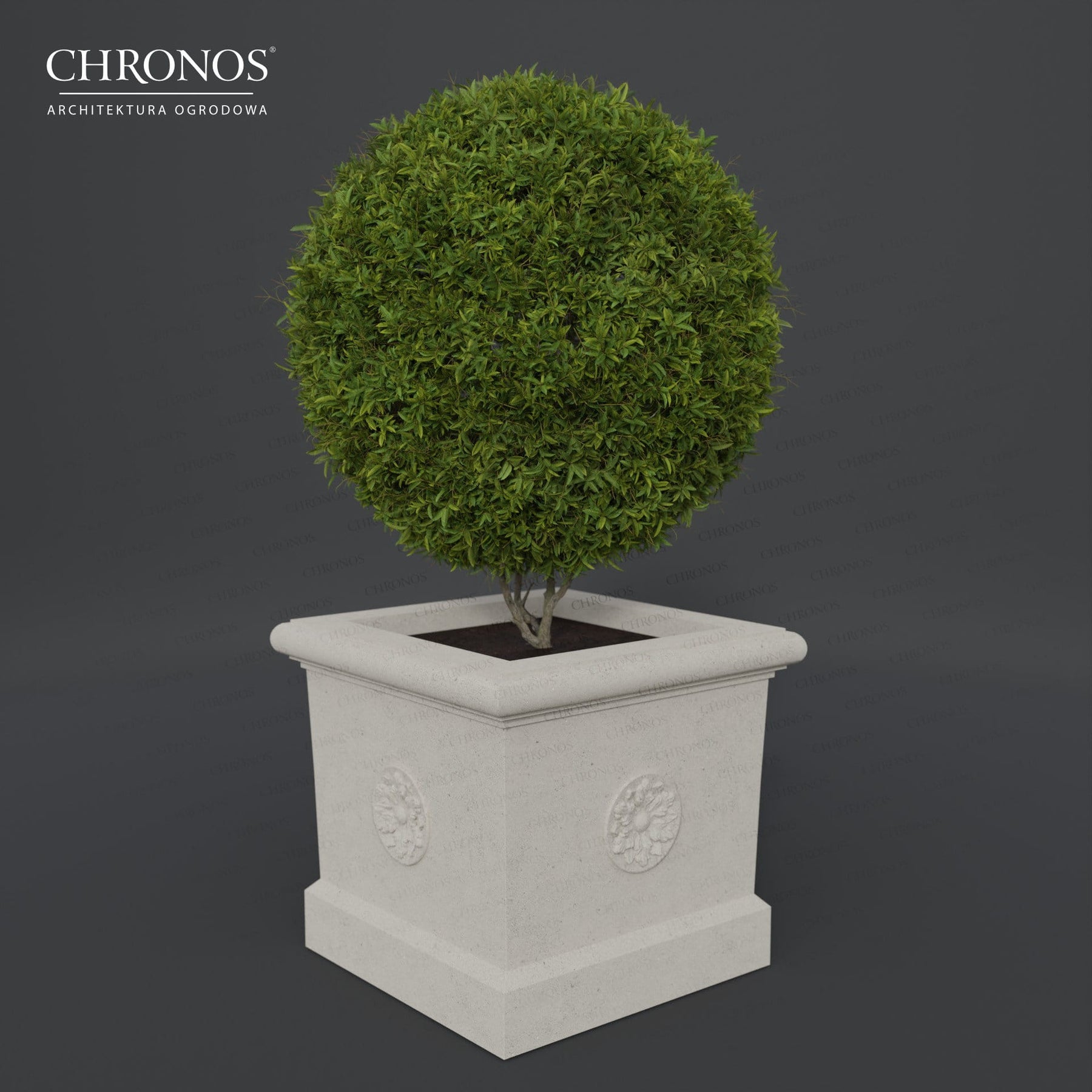 Planter with Rosette
