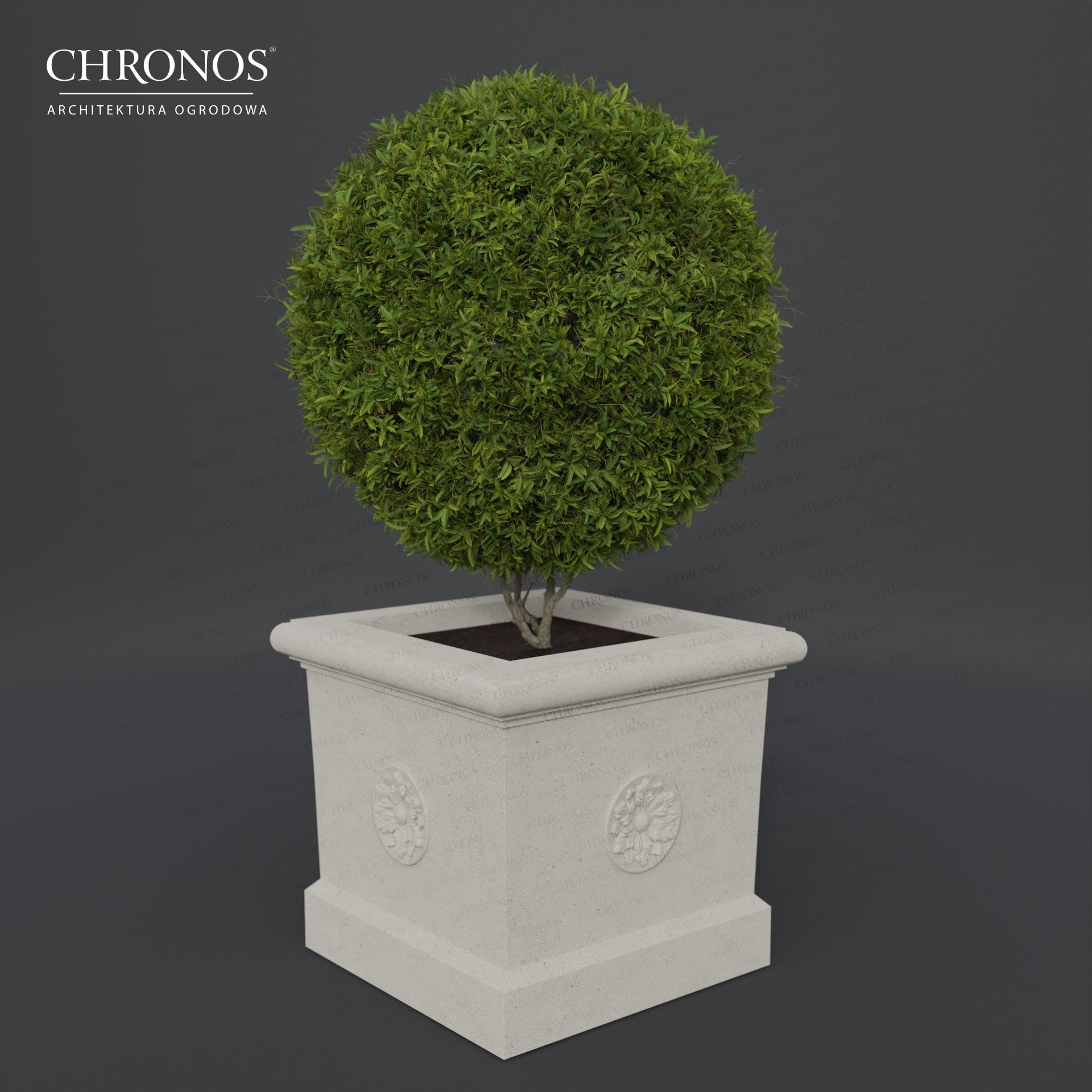 Planter with Rosette