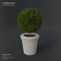 Conical Planter