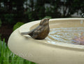 Bird fountain