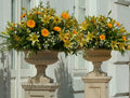 Lechja Vase
