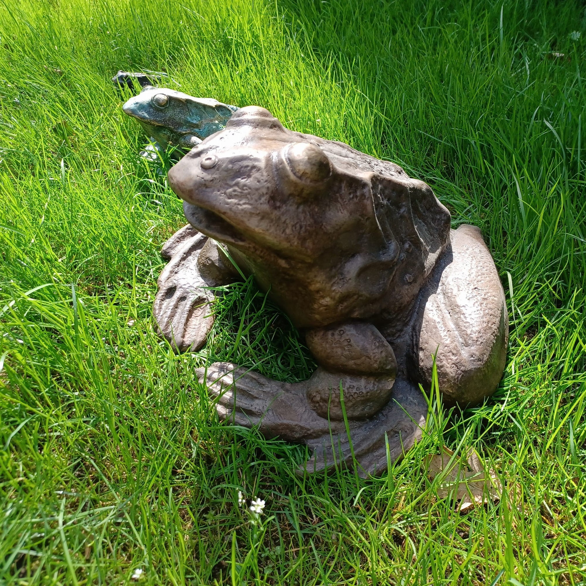 Frog